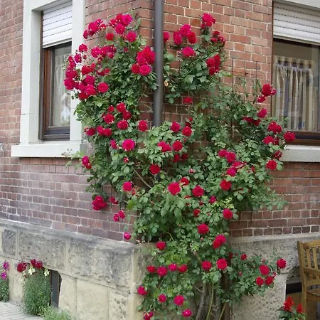 Gaestezimmer Zwischen Neckar Und Enz